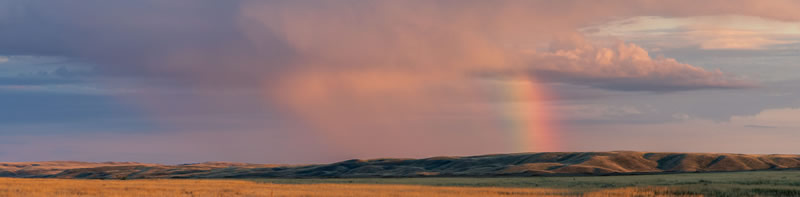 After the Rain by Andrew March